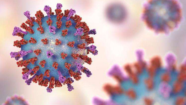 Novel coronavirus looks like