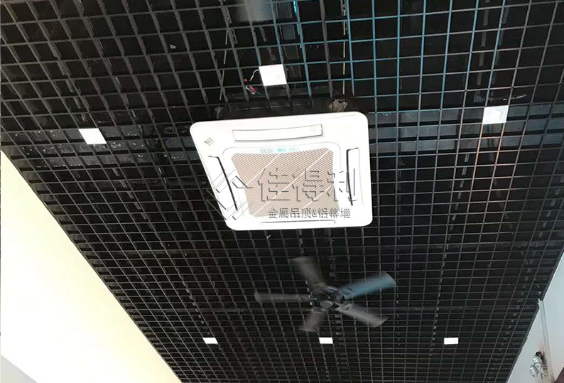 Aluminum Grille Ceiling (3)