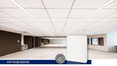 Meeting room aluminum gusset ceiling