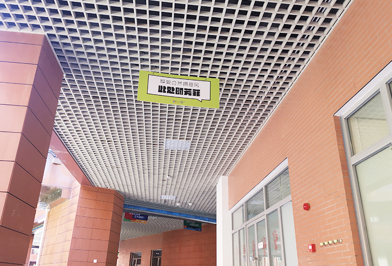 Aluminum Grille Ceiling 37