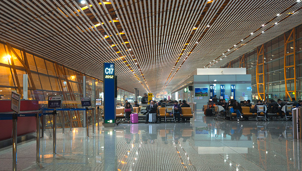 Case 1 Guangdong International Airport Terminal