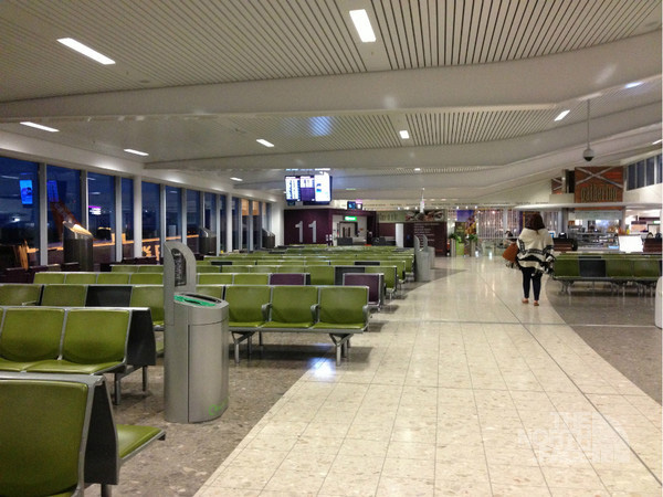 Case 2 Guangdong International Airport Terminal