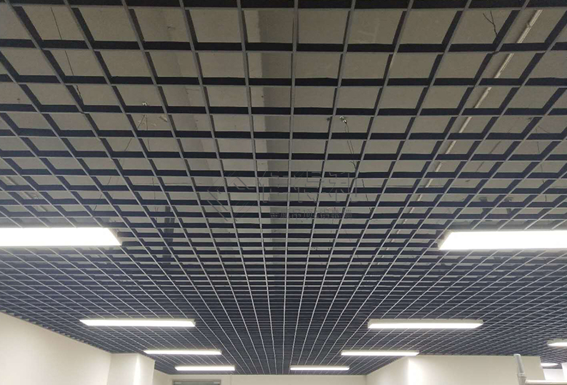 Aluminum Grille Ceiling (23)