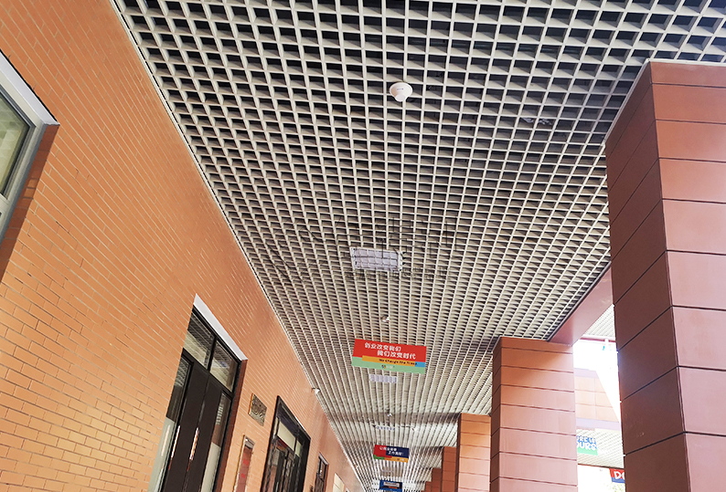 Aluminum Grille Ceiling (31)