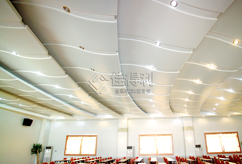 Aluminum veneer curtain wall 13