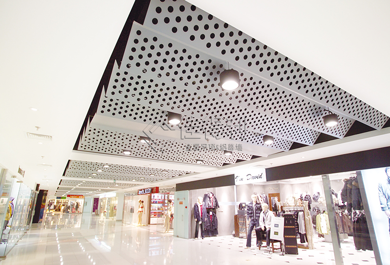 Aluminum veneer curtain wall (14)
