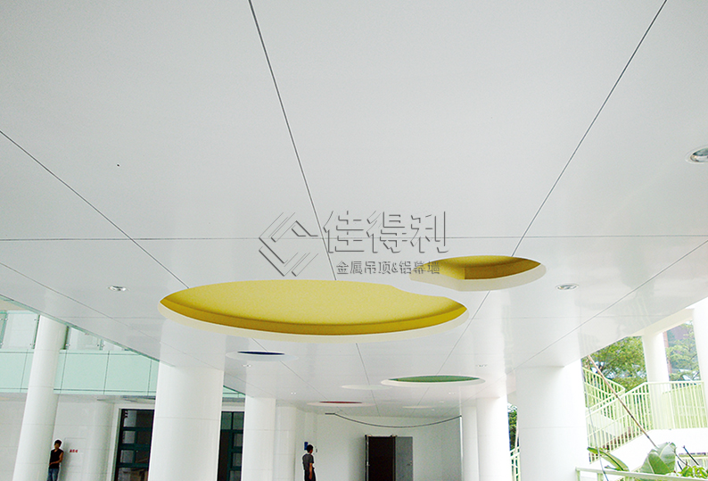 Aluminum veneer curtain wall (11)