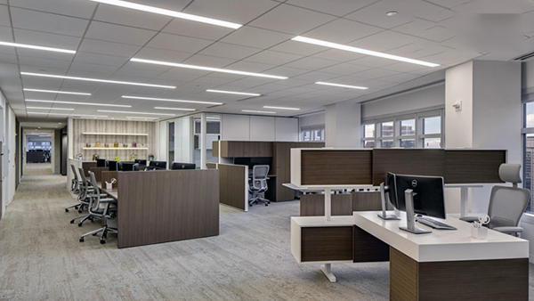 Choice of Office Ceiling