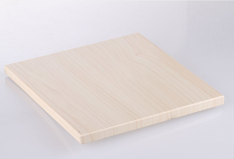 Aluminum veneer curtain wall (19)